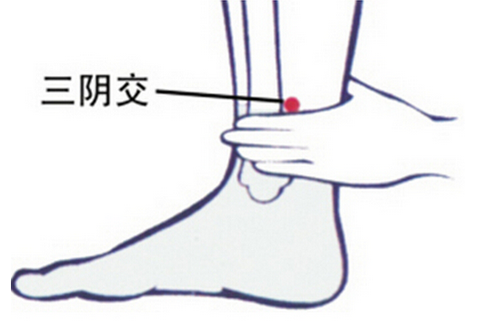 三陰交 錘正療法 按摩 穴位