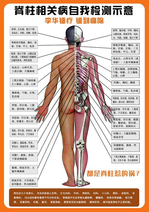 錘正療法,錘正療法工具,錘正療法培訓(xùn)