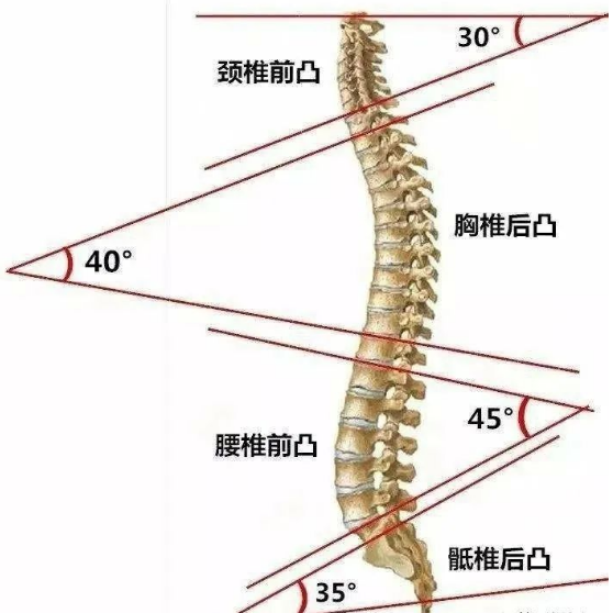 頸椎,錘療,錘擊療法,李華錘療